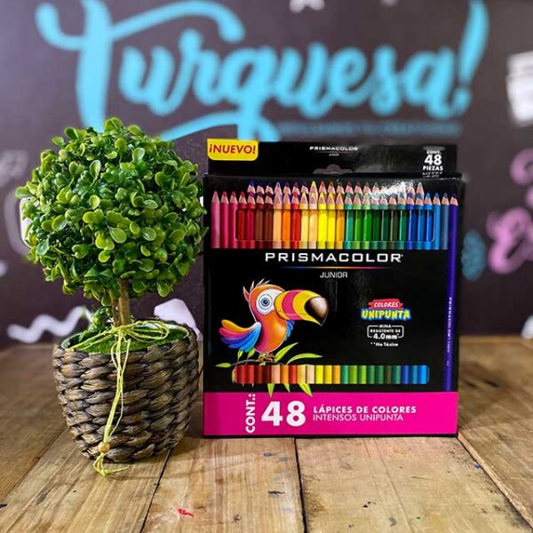 COLORES PRISMACOLOR JUNIOR(48) UNID
